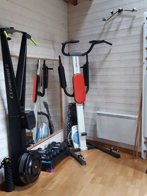 Ski-erg, chaise romaine, haltères, espalier et miroir